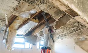 Best Real Estate Mold Inspection  in England, AR